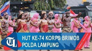 Peringatan HUT ke 74 Korps Brimob Polda Lampung | Tribun Lampung News Video