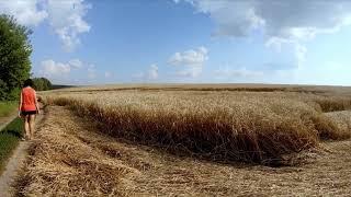 Village in Cherkasy Oblast Ukraine