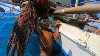 Octopus and Cuttlefish hunting | Catch & Sell