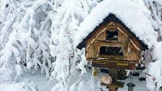 Winter in Bayern, Schneefall ohne Ende