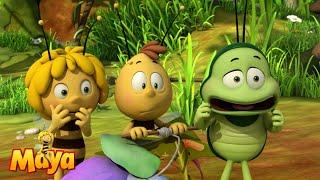 Willy is confused (as always) - Maya the Bee  - FULL COMPILATION