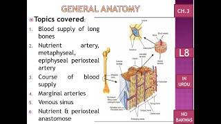 C3 L8 |Blood supply of long bones| nutrient| metaphyseal | epiphyseal periosteal artery| anastomosis