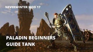 Neverwinter Mod 17 Paladin Beginners Guide (Tank)