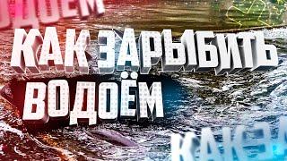 Как правильно зарыбить водоём Рыбоводство и рыболовство