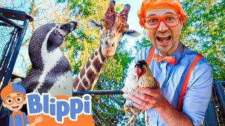 Learning Animals For Kids with Blippi! | Zoo & Jungle Adventures | Educational Videos For Children
