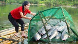 How to catch Fish, Trap river fish - Bring them go Market to sell | Farm | Jolie Life #1