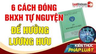 6 Cách Đóng BHXH Tự Nguyện Để Hưởng Lương Hưu | LuatVietnam