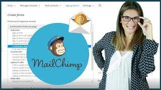  Tutorial de MailChimp : Crear listas y automatizar emails | Paso a Paso