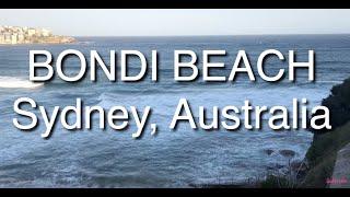 People from all Walks of Life at Bondai Beach, Sydney Australia