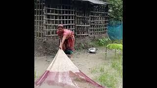 How is kakima fishing in the garden of the house due to flood #shorts