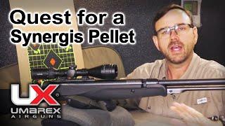 Quest for Best Pellet for Synergis 12 Shot Air Rifle : Umarex Airguns