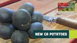 New California Potatoes | Produce Beat