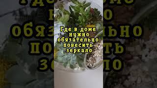 Принесет удачу и окутает богатством: где в доме нужно обязательно повесить зеркало