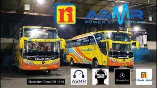 Rosalia Indah Mercedes Benz OH 1626 Bus Journey ASMR and White Noise for Bus enthusiast