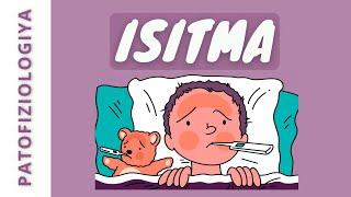 ISITMA  |  ISITMA PATOFIZIOLOGIYASI