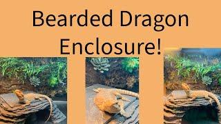 Bearded Dragon Enclosure!