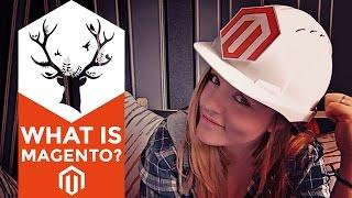 What Is Magento? My favourite eCommerce platform