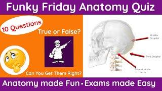 Funky Friday Anatomy Quiz 12.03.2021