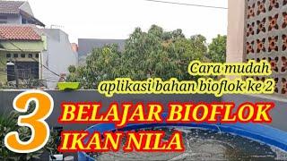 BELAJAR BIOFLOK IKAN NILA, cara mudah aplikasi bahan bioflok ke 2