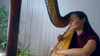 Romeo & Juliet Love Theme - Nino Rota (Harp Cover)