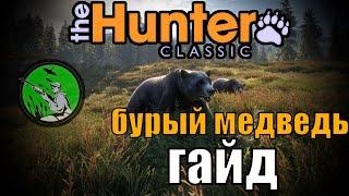 The hunter classic крутой гайд на бурого медведя