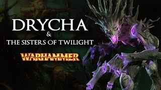 Warhammer Fantasy Lore: Drycha & The Sisters of Twilight - Total War: Warhammer 2