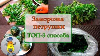 Заморозка петрушки впрок ТОП-3 способа: как заморозить петрушку на зиму