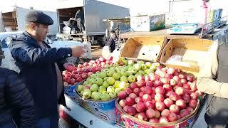 MAŞTAĞA. QOYUN. KEÇİ. MAL. BAZARI. 10.11.2024    