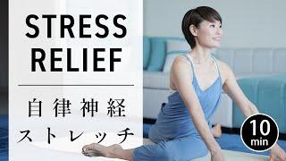 [10 min] Full body stretching for flexibility and stress relief #677