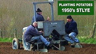 Planting Potatoes 1950's Style Ireland