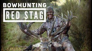 Epic New Zealand Red Stag Bowhunting!! Bowmar Bowhunting