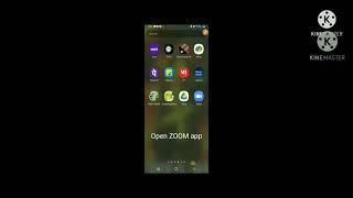 how to on Wifi- cellular data in ZOOM