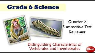 Grade 6 Science Quarter 2 Exam Reviewer Vertebrates and Invertebrates