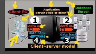 How does Windows Server or Linux server function?