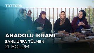 Borani, Semsek, Ağzı Açık, Peynirli Helva, Şıllık Tatlısı- Şanlıurfa | Anadolu İkramı - 21. Bölüm