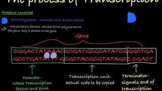 Transcription