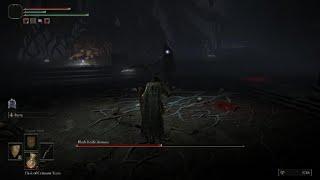 ELDEN RING BLACK KNIFE ASSASSIN  Boss (Deathtouched Catacombs) (Limgrave)