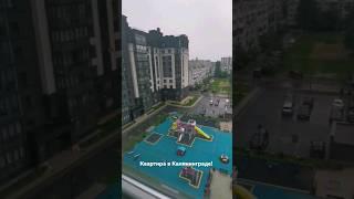 Купили квартиру в Калининграде!