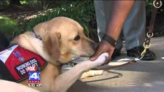 Service Dog Helps Veteran with PTSD