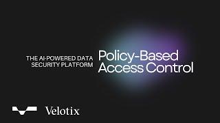 What is Policy Based Access Control | Velotix