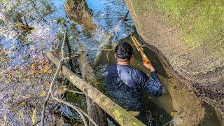 Pescando muchas especies de pescados con arpón y encontramos dos...