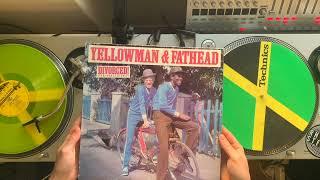 Rare Rub A Dub & Early Dancehall Vinyl Selection