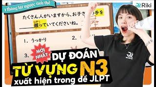 Dự đoán TỪ VỰNG N3 JLPT và những LƯU Ý khi làm mondai 3 + 5 trong đề JLPT 7/2024