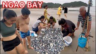 BIỂN ĐỘNG DÂN LONG HẢI XUỐNG BIỂN BẮT NGAO BAY # TÔM TÍT