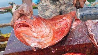 Red emperor fish cutting | how to cut redspot emperor fish | Fish cutting