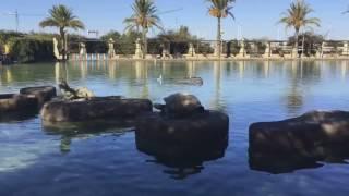 Jardín de las Naciones con Enjoy Torrevieja