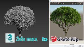 3ds max to Sketch-up Conversion | Vrmesh