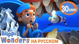 Сколько Зубов у Акулы? | Обучающие мультики для детей | Blippi Russian