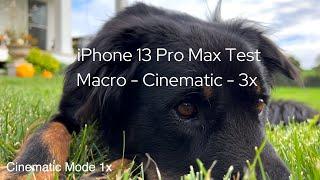 iPhone 13 Pro Max Video Lens Test Footage - Macro - 3x - Cinematic Mode