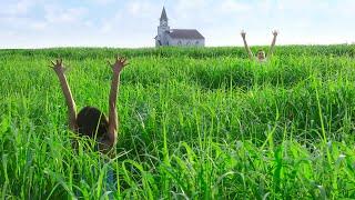 Grass Traps People in a Time Loop, Once They Enter There is no Way Out